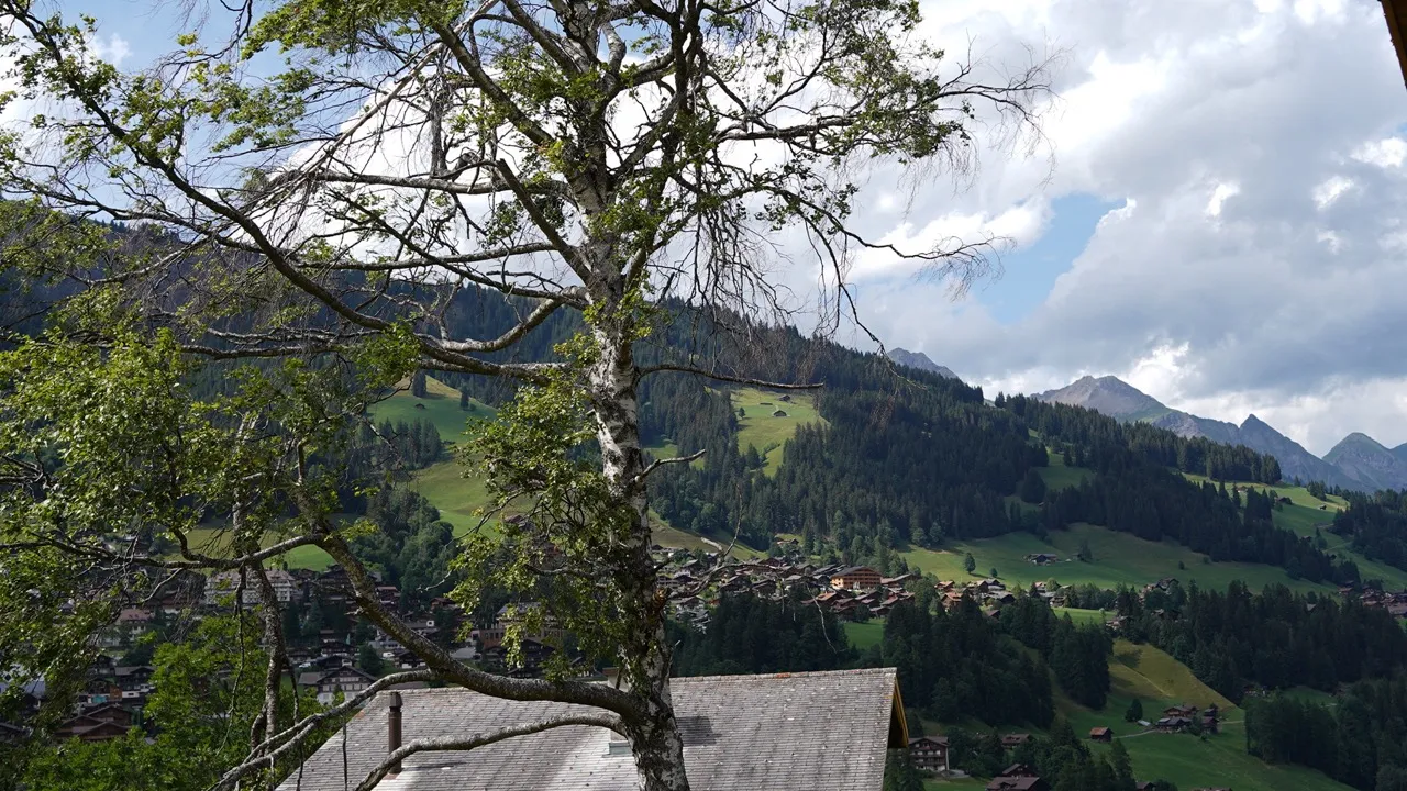Blick von Chalet Sylvestre auf die Adelbodner Berglandschaft